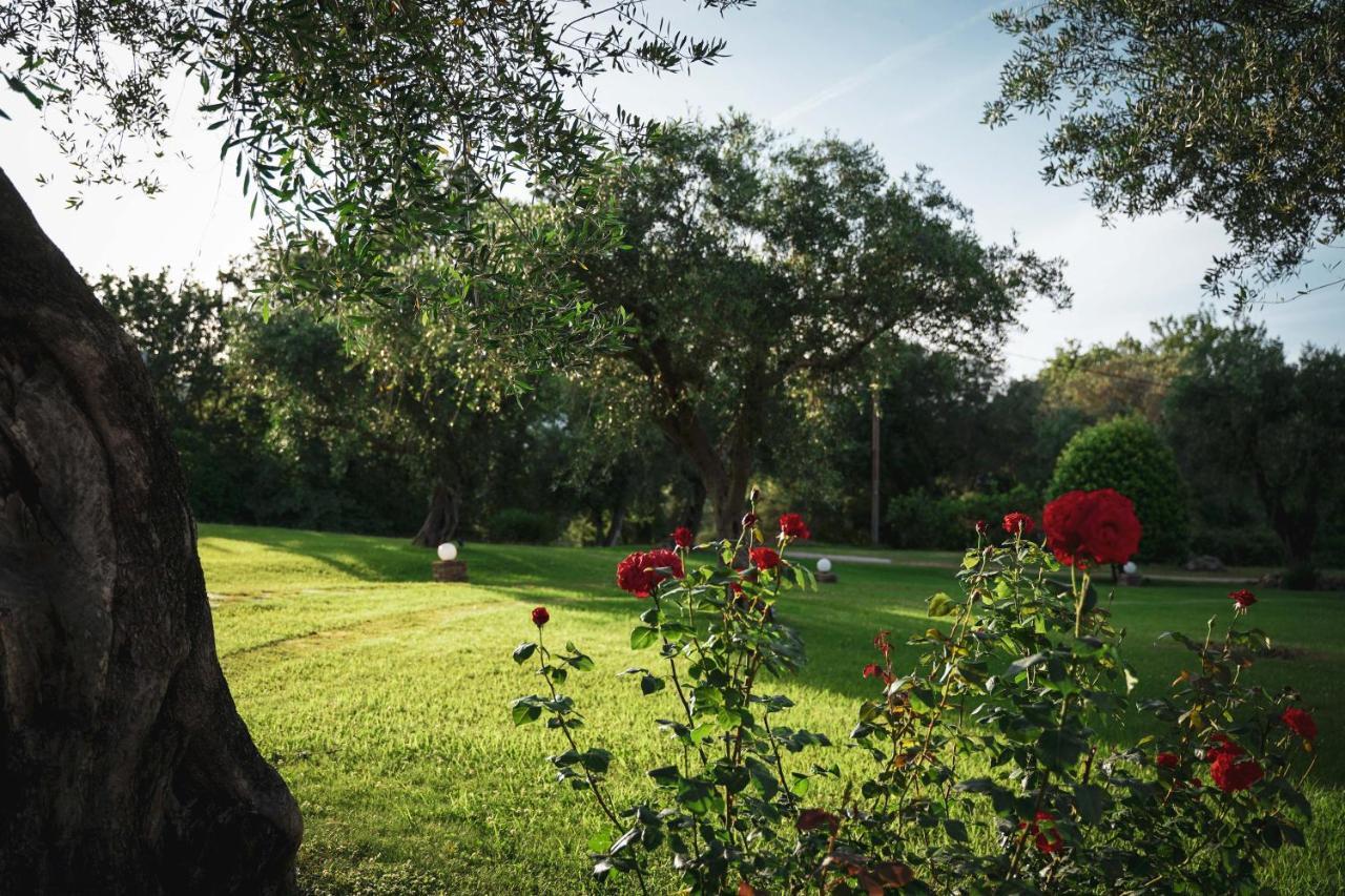 Panorama Hideaway Aparthotel Δασιά Εξωτερικό φωτογραφία