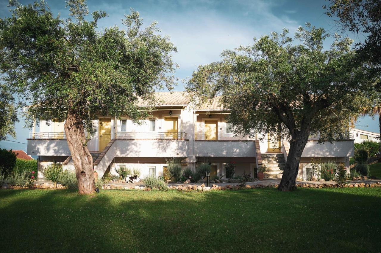 Panorama Hideaway Aparthotel Δασιά Εξωτερικό φωτογραφία